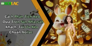 Cách Phân Tích Kèo Dựa Trên Sân Nhà/sân Khách: Tối Ưu Kèo Chuẩn Xoilac