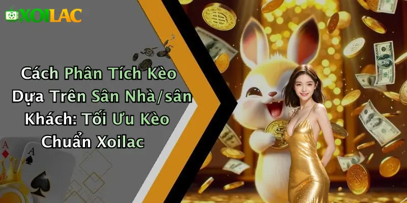 Cách Phân Tích Kèo Dựa Trên Sân Nhà/Sân Khách: Tối Ưu Kèo 1 Cách Phân Tích Kèo Dựa Trên Sân Nhà/sân Khách: Tối Ưu Kèo Chuẩn Xoilac