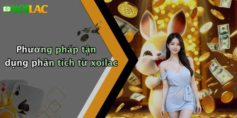 Cách Phân Tích Kèo Dựa Trên Sân Nhà/Sân Khách: Tối Ưu Kèo 5 Phương pháp tận dụng phân tích từ xoilac