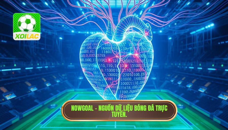 Xôi Lạc - Trái tim của dữ liệu bóng đá trực tuyến