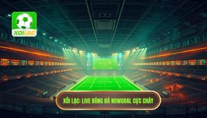 Live bóng đá hôm nay cực cháy Xôi Lạc - Xem trực tiếp tại Xôi Lạc