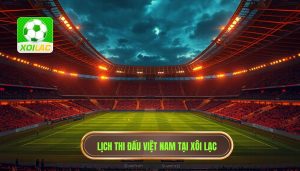 lịch thi đấu đội tuyển việt nam