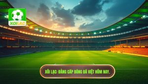 bóng đá việt nam hôm nay